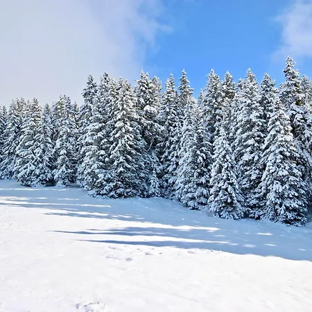 A Pour 4 Pers, Balcon Sud - Fr-1-340-287 * Chamrousse