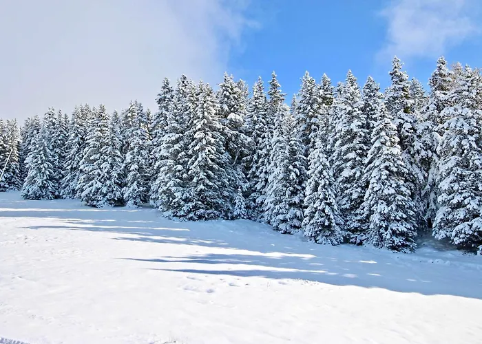 A Pour 4 Pers, Balcon Sud - Fr-1-340-287 * Chamrousse